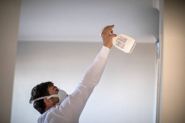 Best Office Mold Removal Services  in Heritage Village, CT