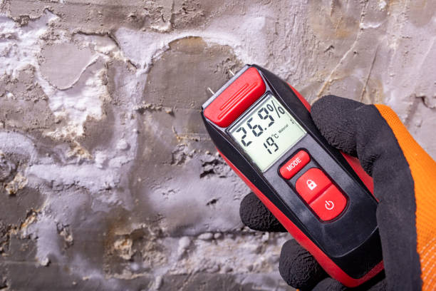Best Black Mold Removal  in Heritage Village, CT