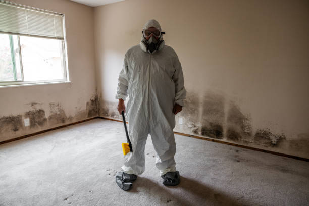 Best Toxic Mold Removal  in Heritage Village, CT