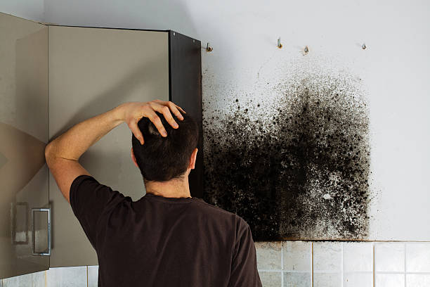 Best Mold Testing  in Heritage Village, CT